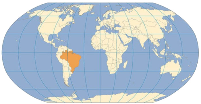 Projeção de Robinson, considerada a melhor projeção cartográfica.