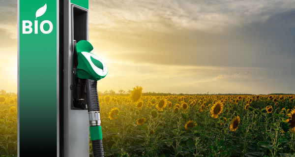 Posto de abastecimento de biocombustível em um fundo de campo de girassol